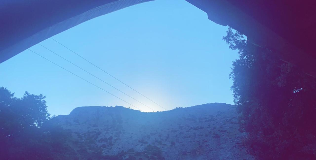 La bergerie du Chêne Omessa Exterior foto
