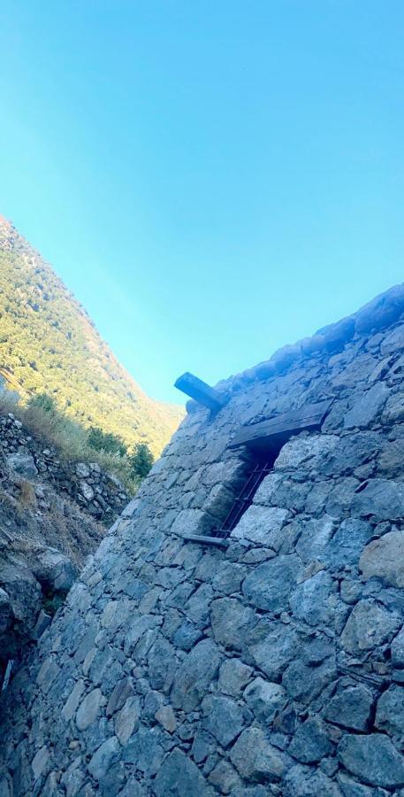 La bergerie du Chêne Omessa Exterior foto
