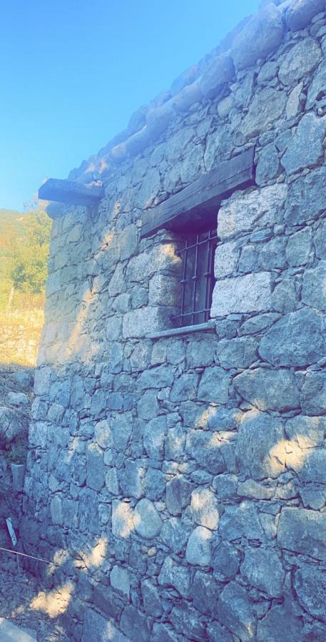 La bergerie du Chêne Omessa Exterior foto